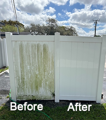 Mr. Clean Alleyway Storage Area (Before-After)
